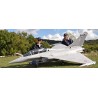Aviation Design Rafale scale 1 / 5